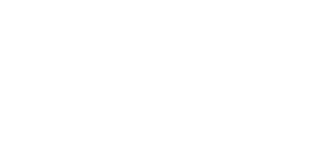 logo_footer_toprobot